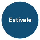 RaceRaptor (15 à 18 ans) - Estivale